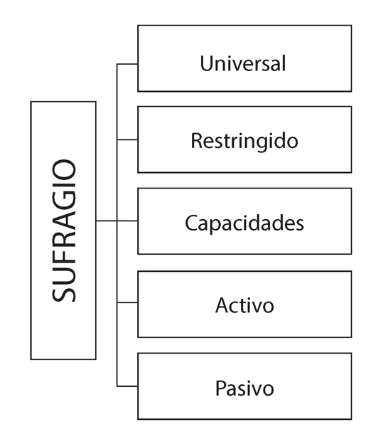 Vista De Significado Y Funcion Del Derecho De Sufragio En La Actividad Electoral De Un Estado Democratico Novum Jus